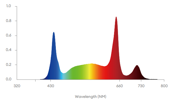 G132 full spectrum graph