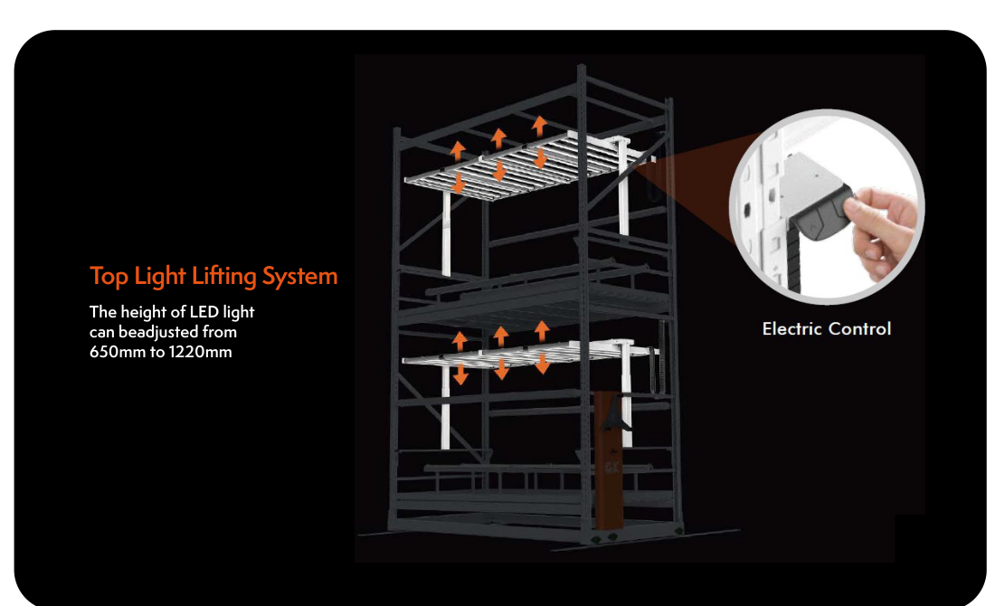 G91 Lighting System